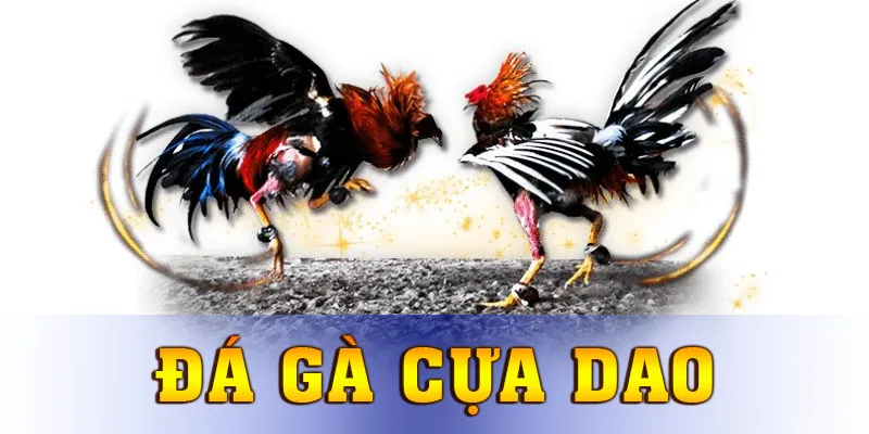 da-ga-cua-dao-avt